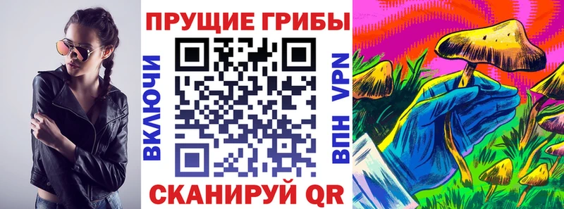Галлюциногенные грибы Psilocybe  ОМГ ОМГ сайт  Кудымкар 